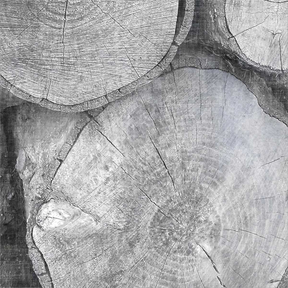 Logging Light V