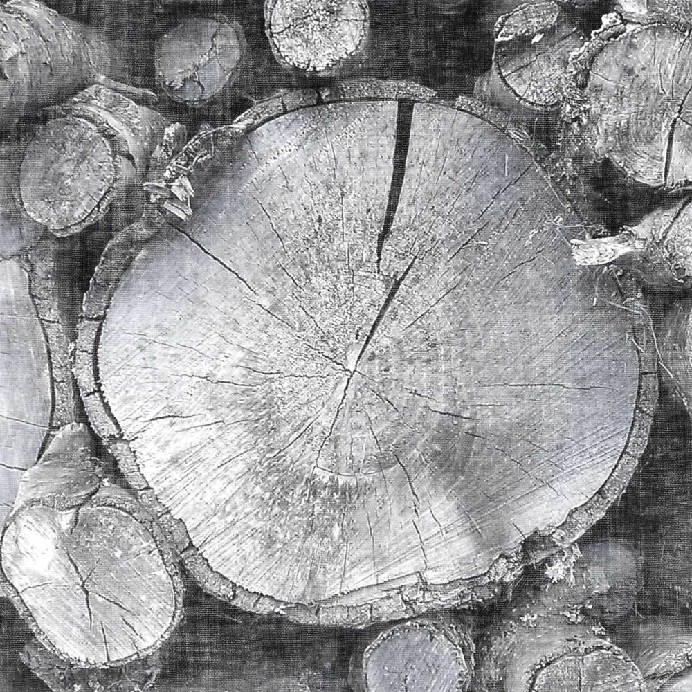 Logging Light VI