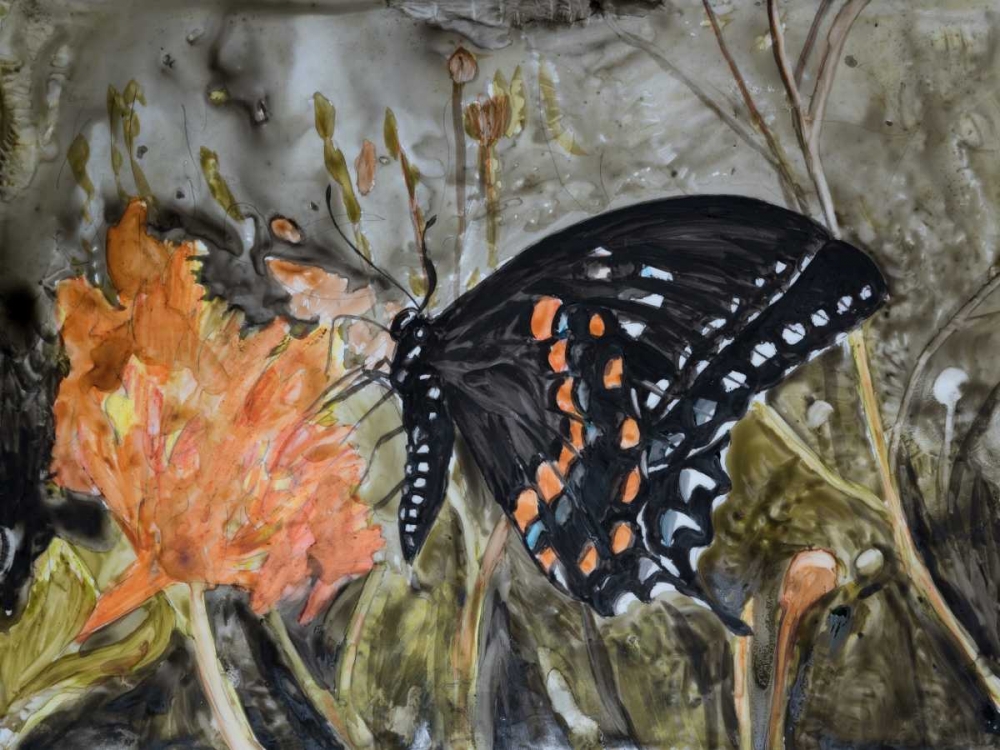 Butterfly in Nature IV