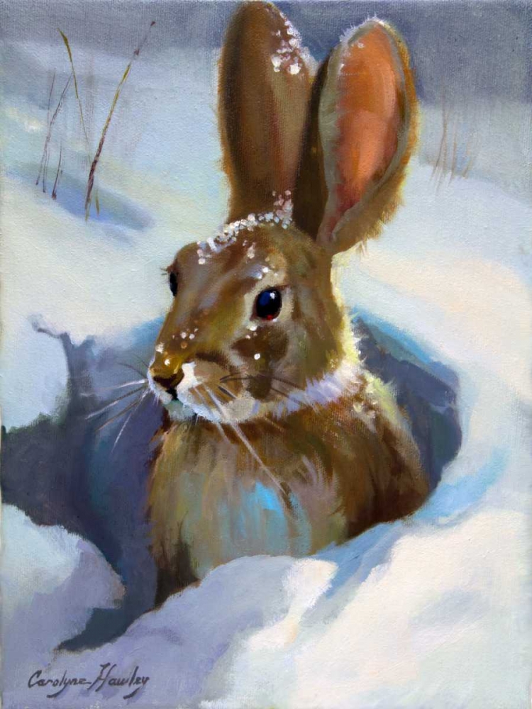 Snow Bunny