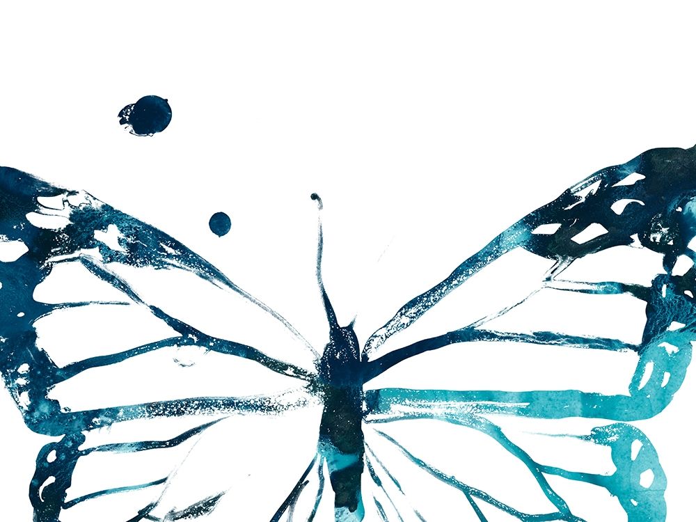 Butterfly Imprint III