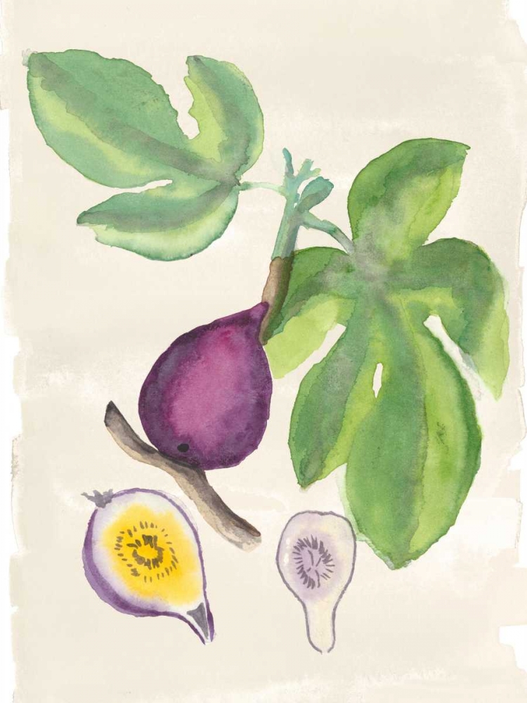 Watercolor Fruit I