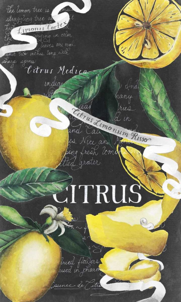 Chalkboard Citrus II