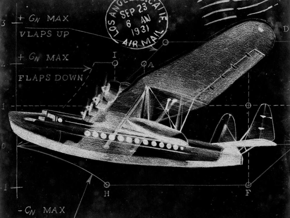 Flight Schematic III