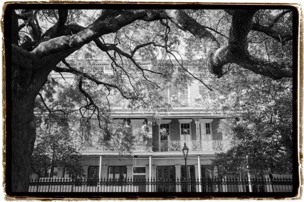 Jackson Square, New Orleans