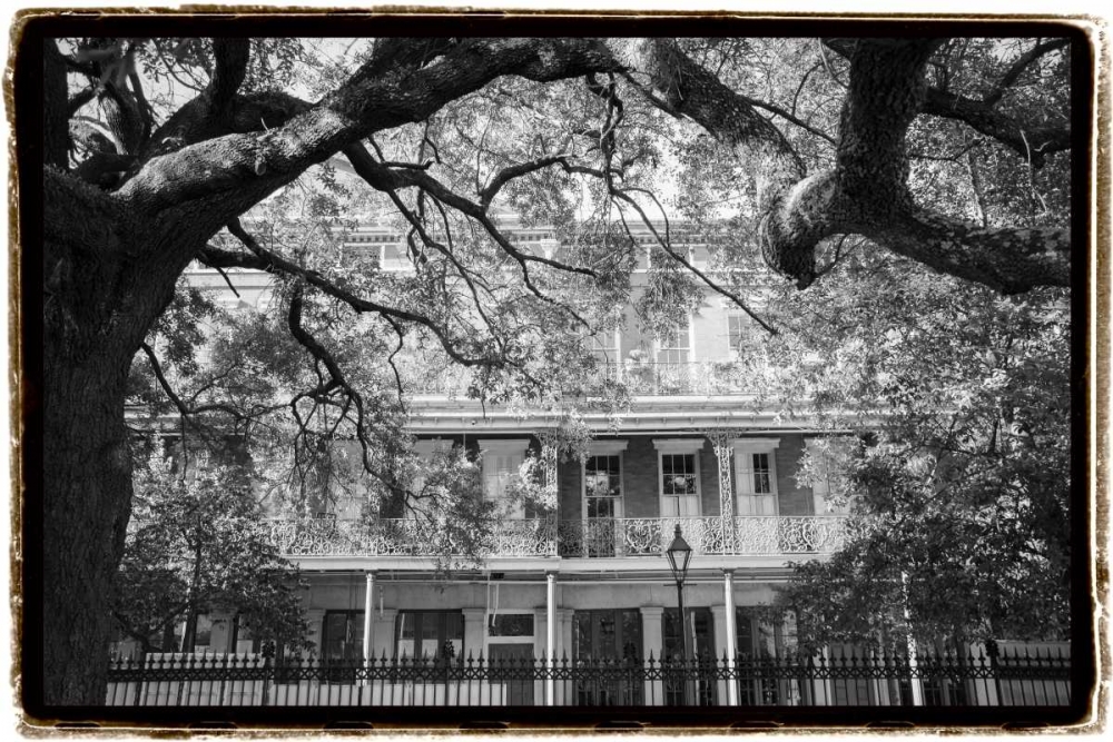 Jackson Square, New Orleans