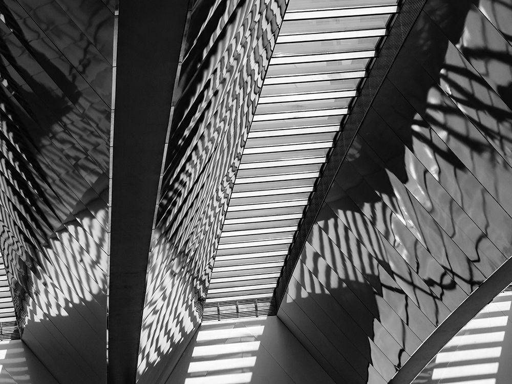 Varied Shapes I