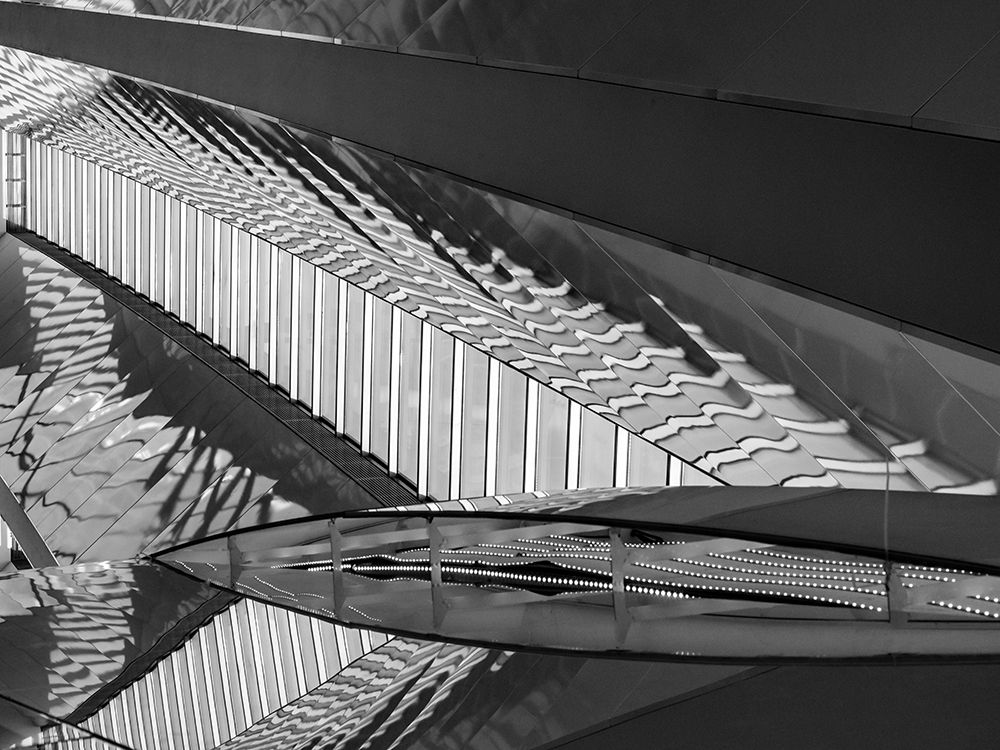 Varied Shapes II