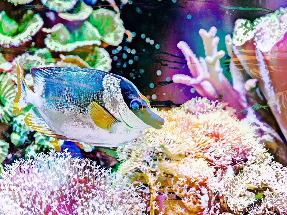 Vibrant Reef III