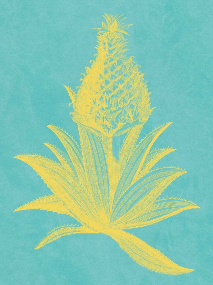 Pineapple Frais I