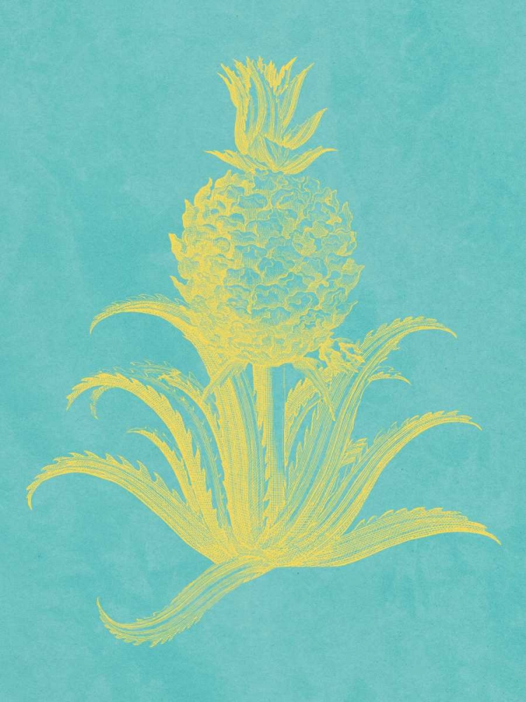 Pineapple Frais II