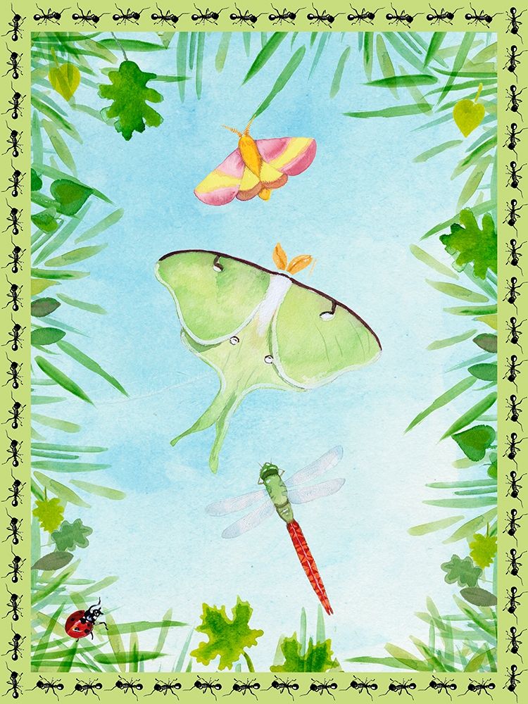 Bug Collector I