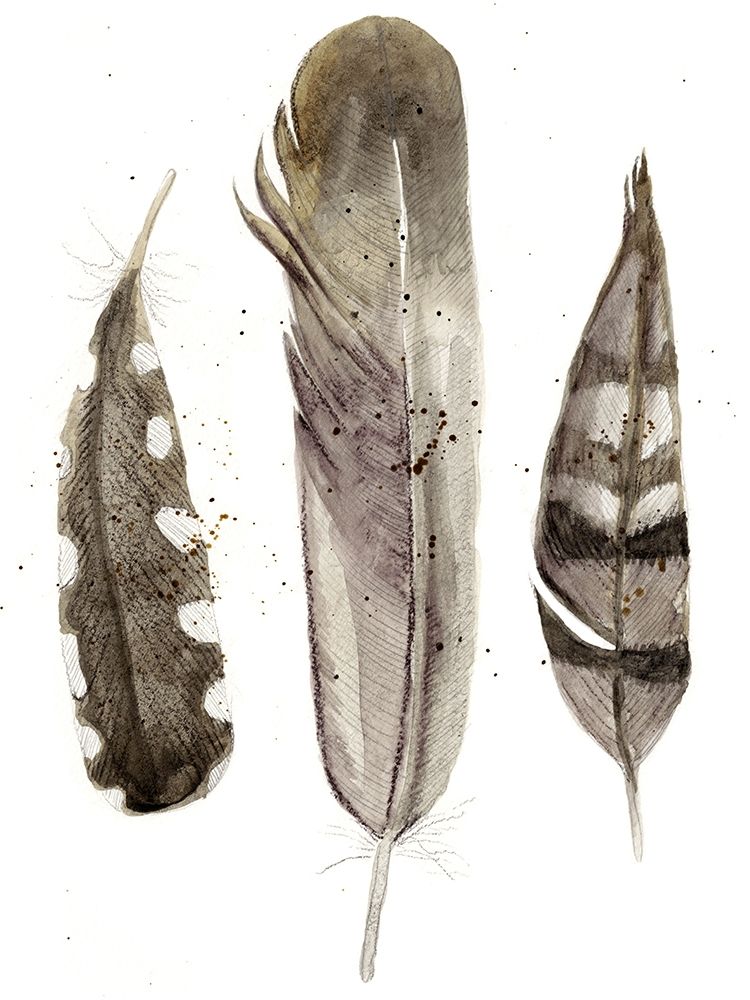 Custom Earthtone Feathers II (ASH)