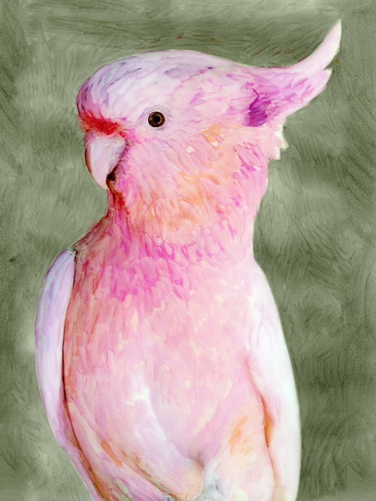 Palm Springs Parrot II