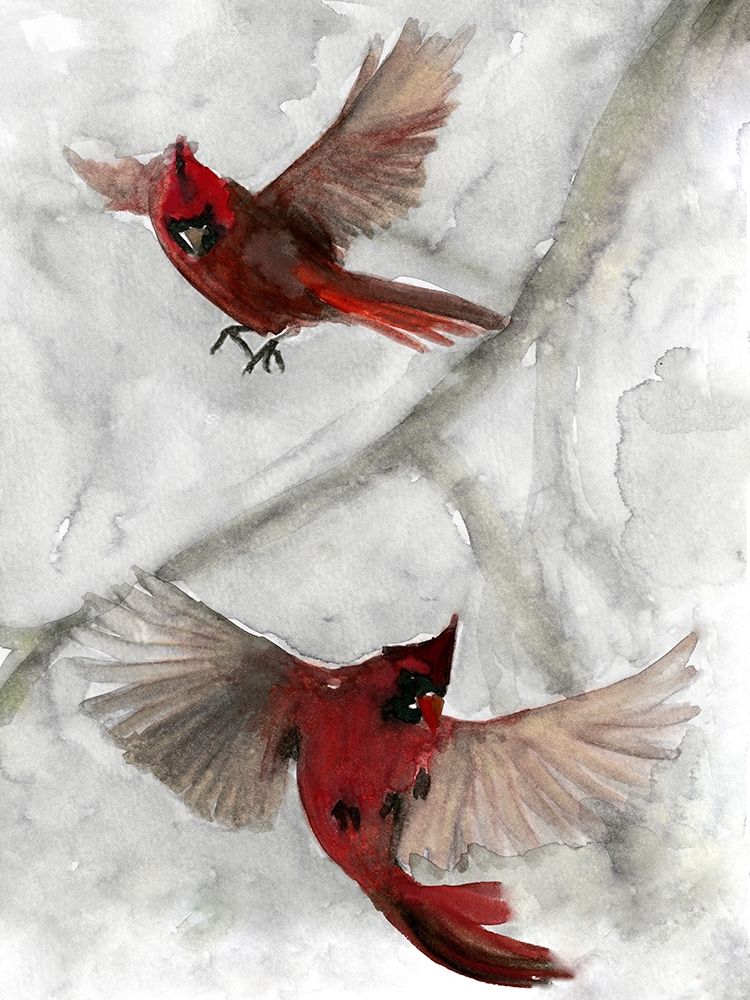 Cardinals I