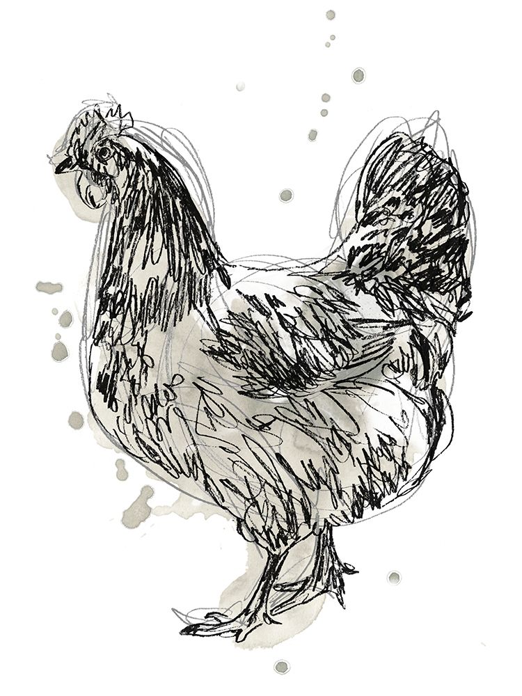 Feathered Fowl IV