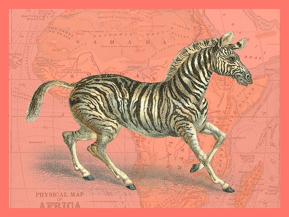 African Animals on Coral III