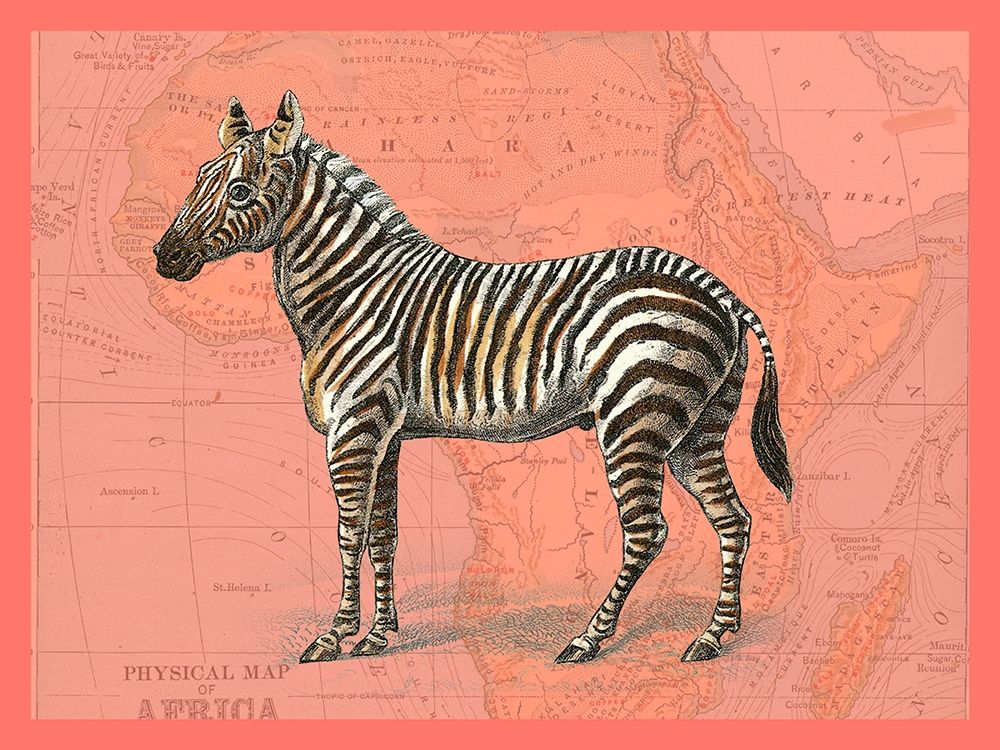 African Animals on Coral IV