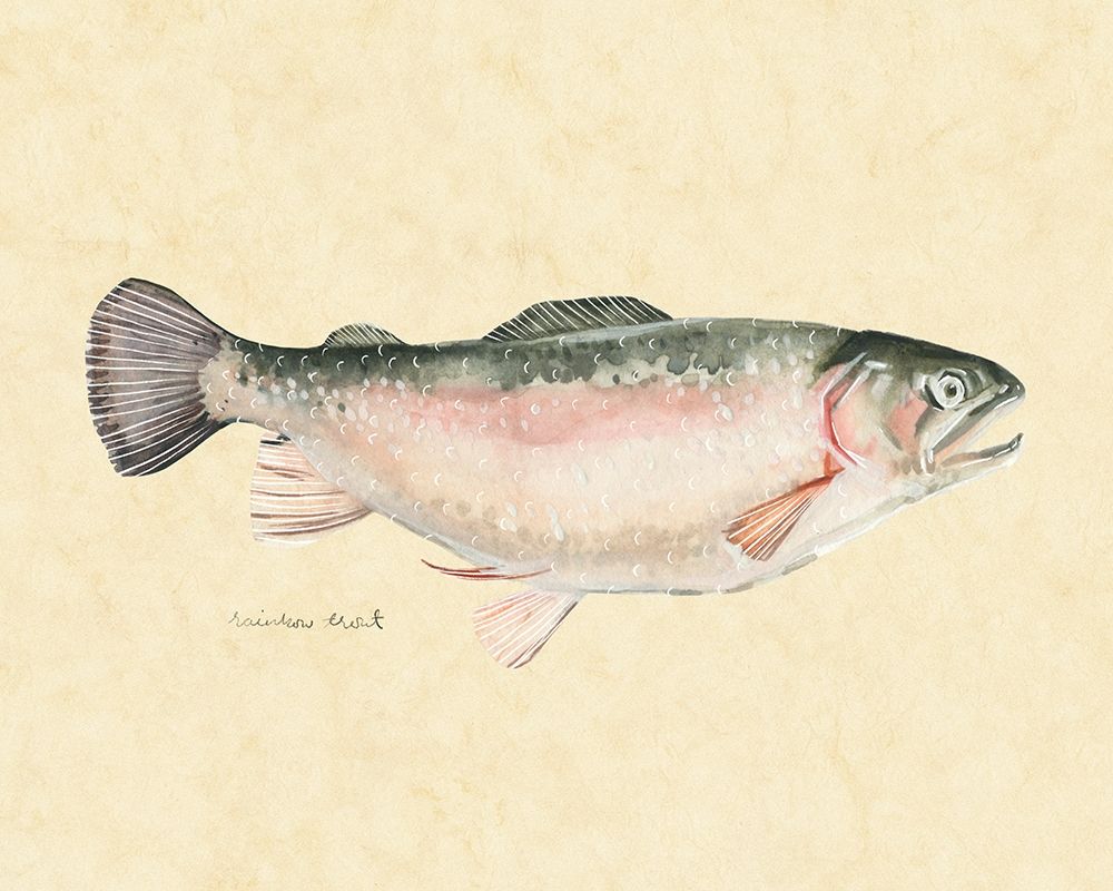 Catch of the Day III