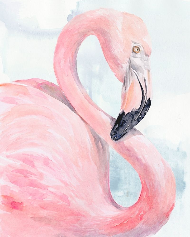 Pink Flamingo Portrait I