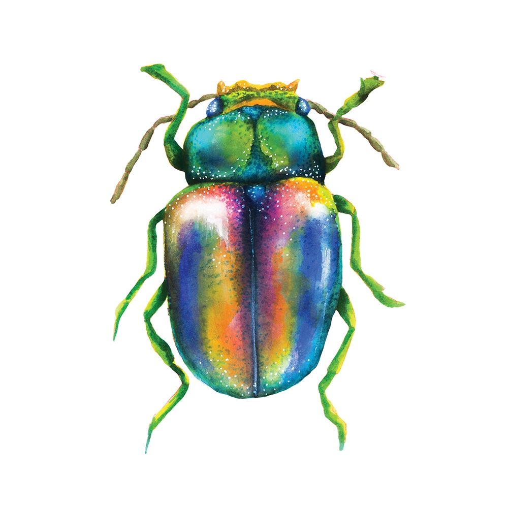 Buggin Out I
