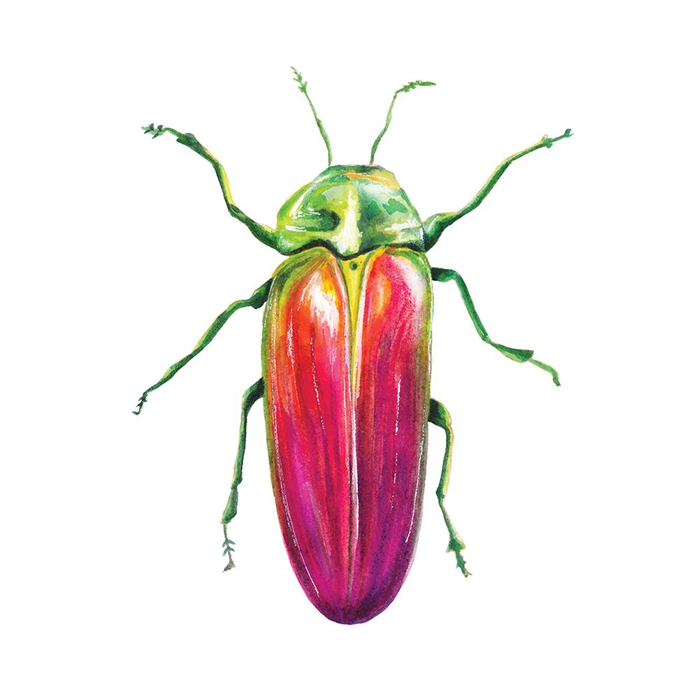 Buggin Out II
