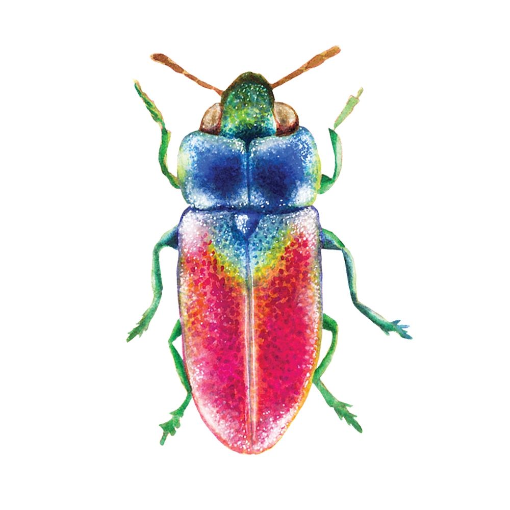 Buggin Out III