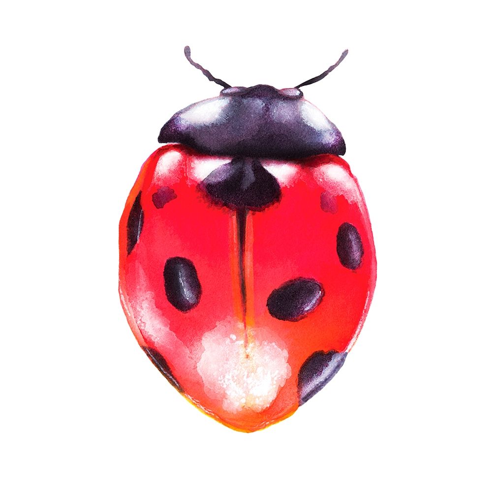 Buggin Out IV