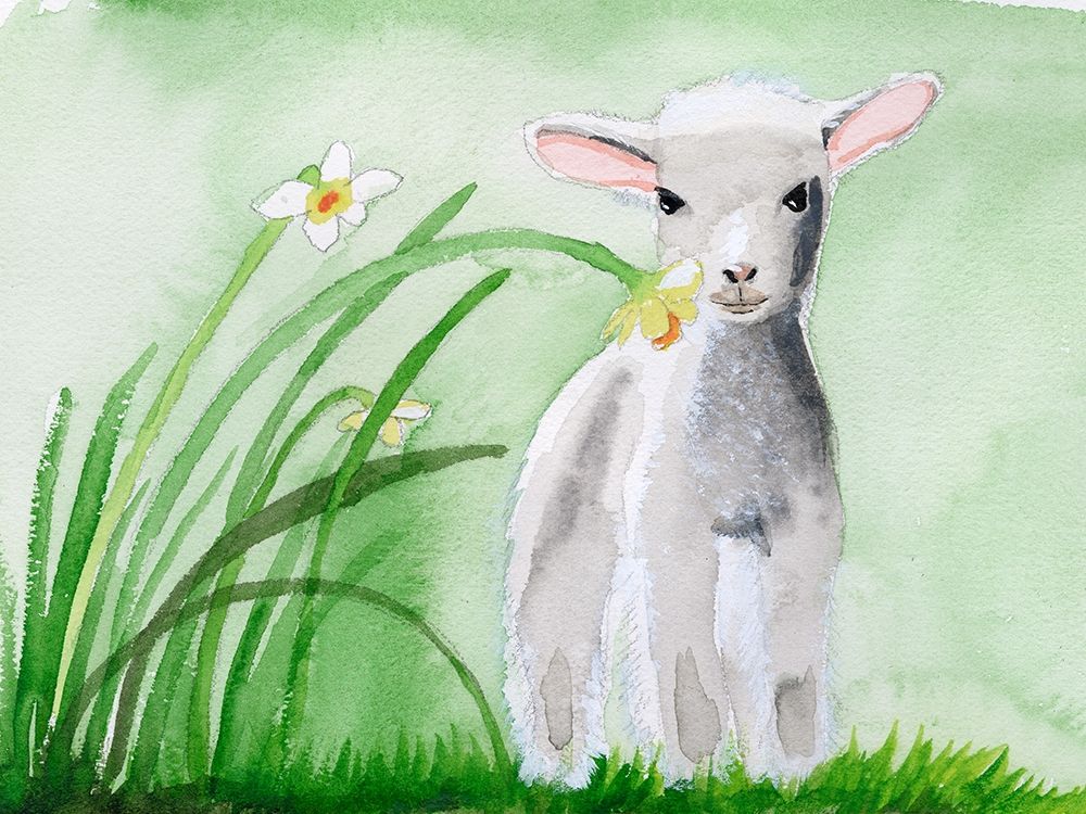 Baby Spring Animals IV