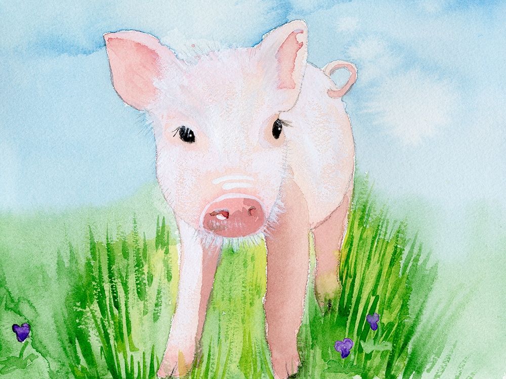 Baby Spring Animals V