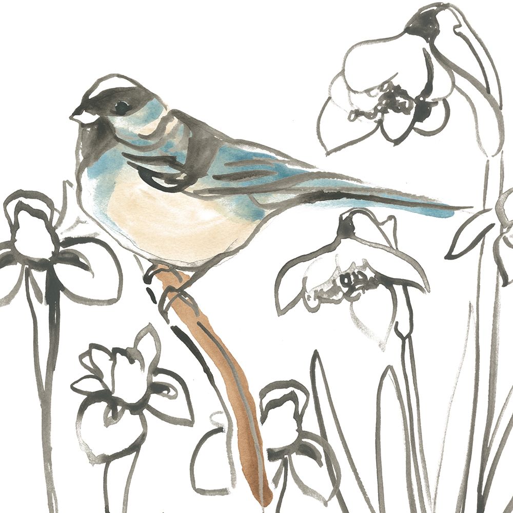 Songbird Meadow II