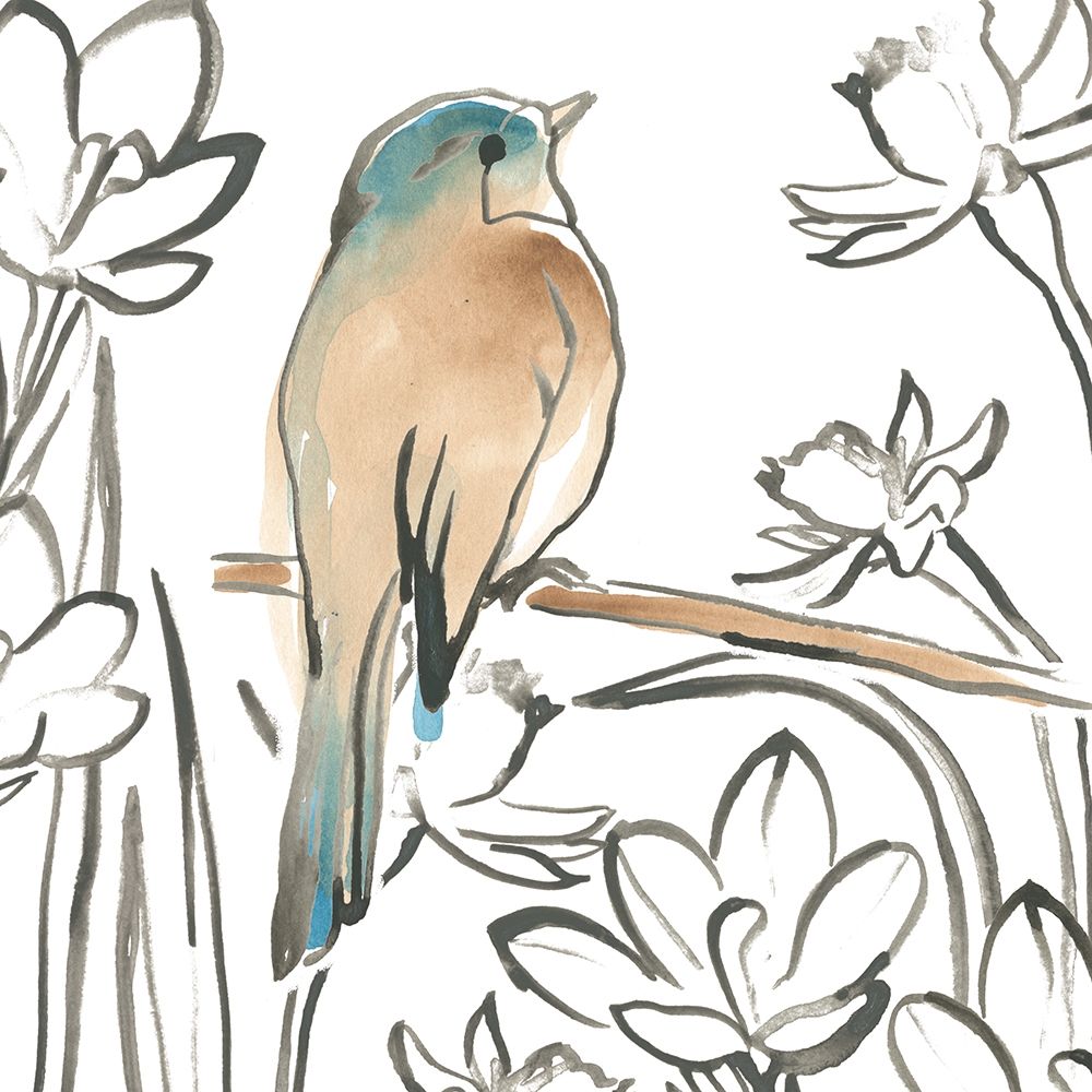 Songbird Meadow III