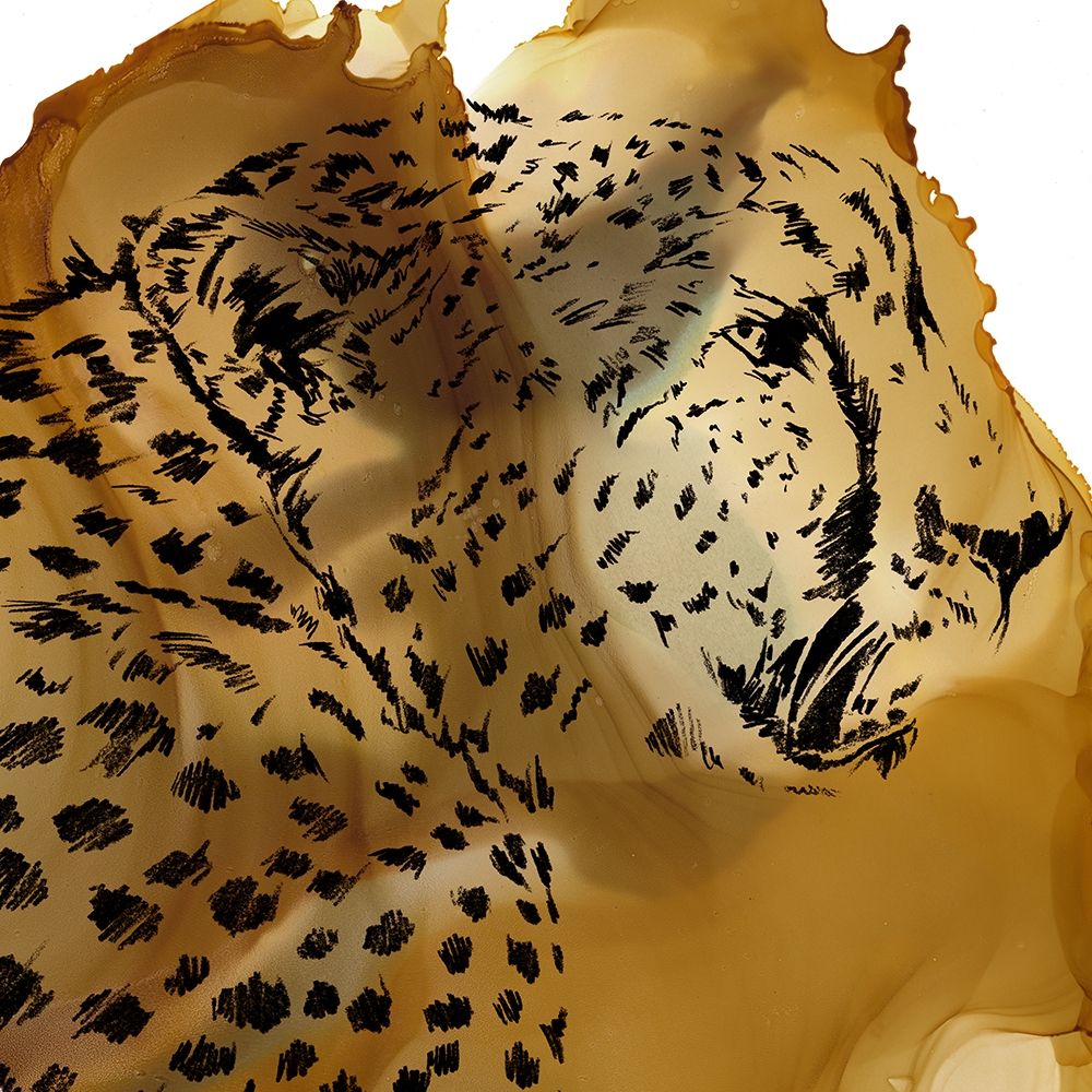 Leopard Portrait II
