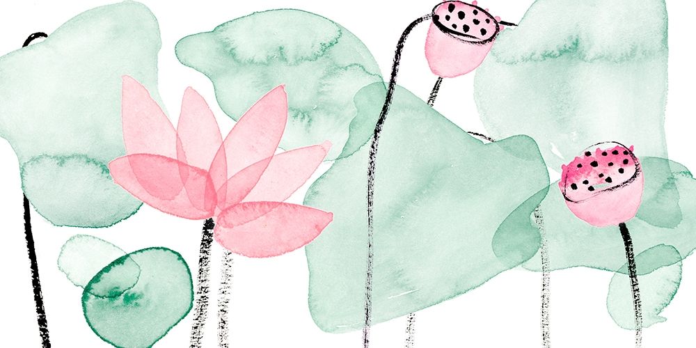 Lotus in Nature IV