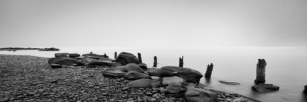 Black and White Water Panel I