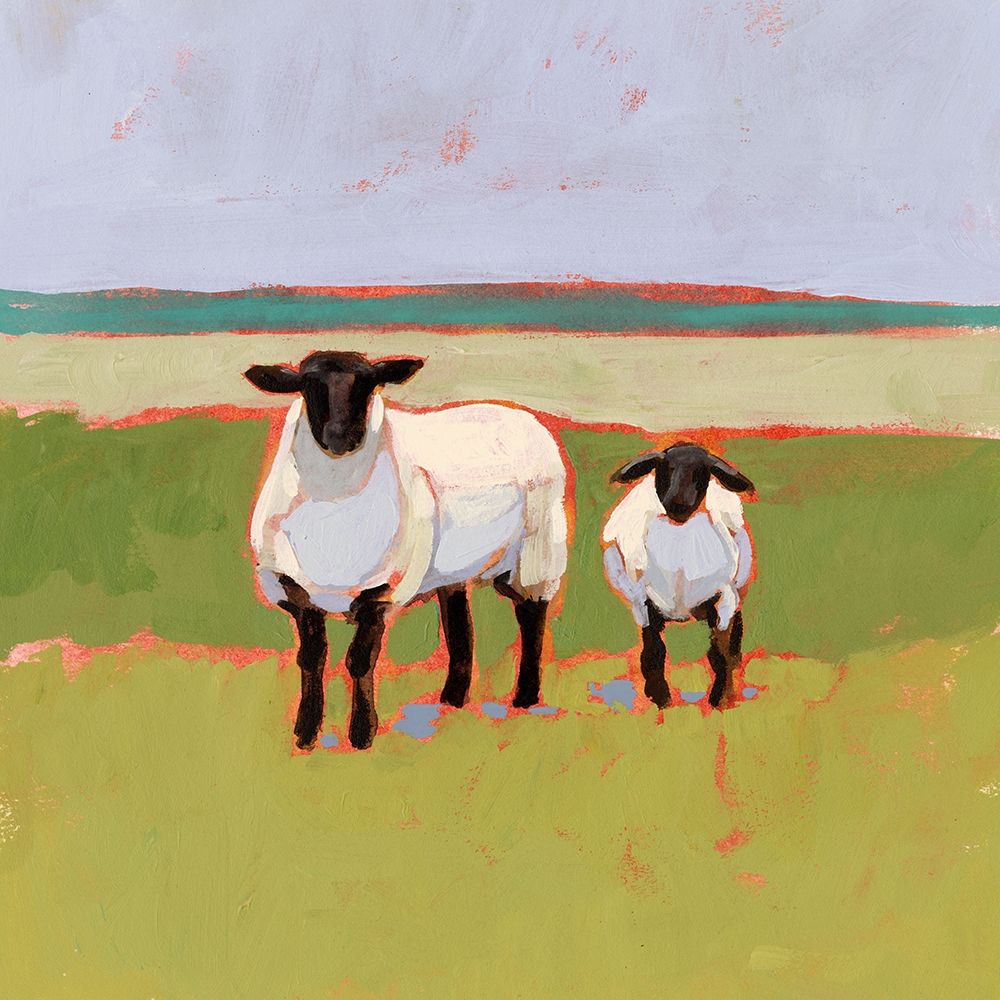 Suffolk Sheep I
