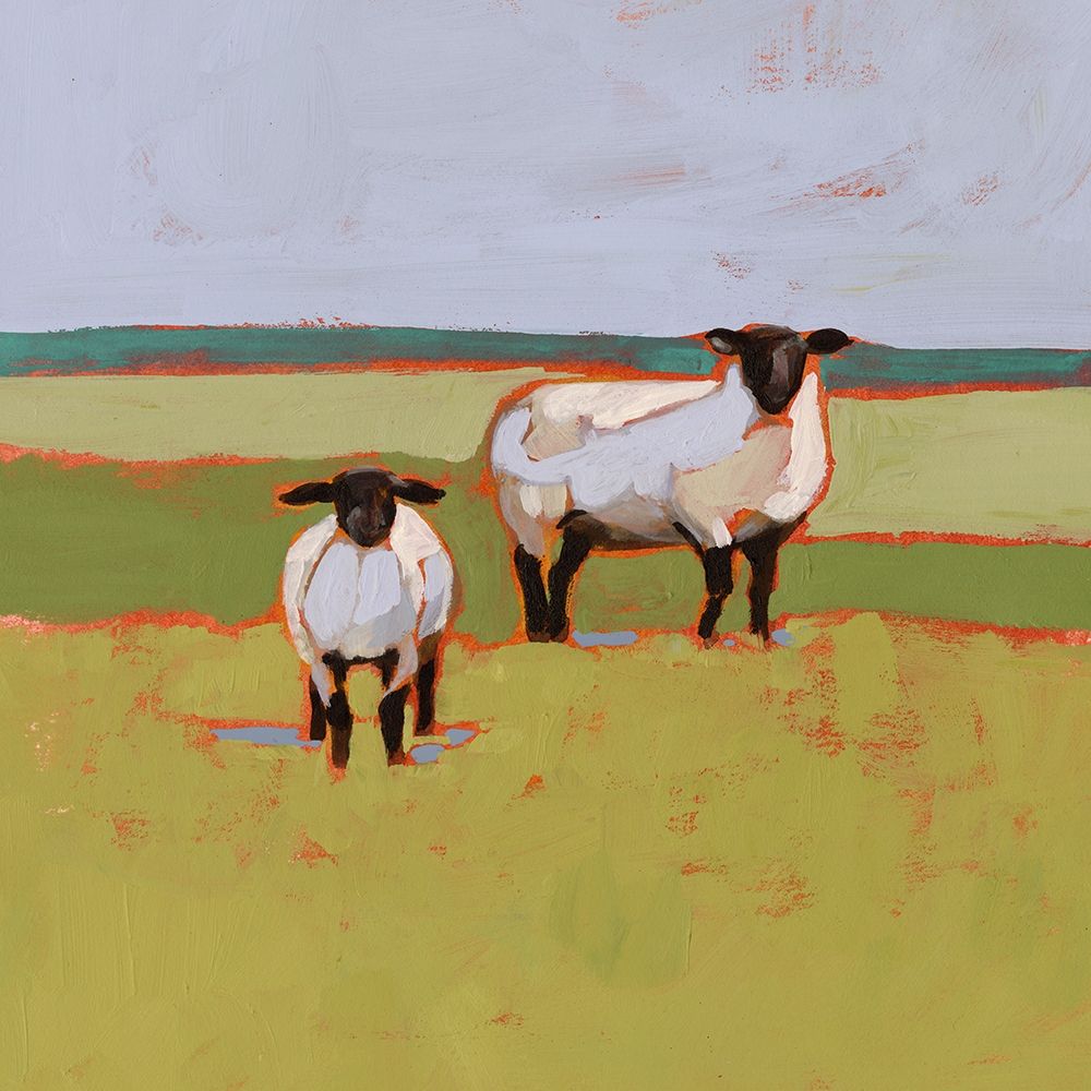 Suffolk Sheep II