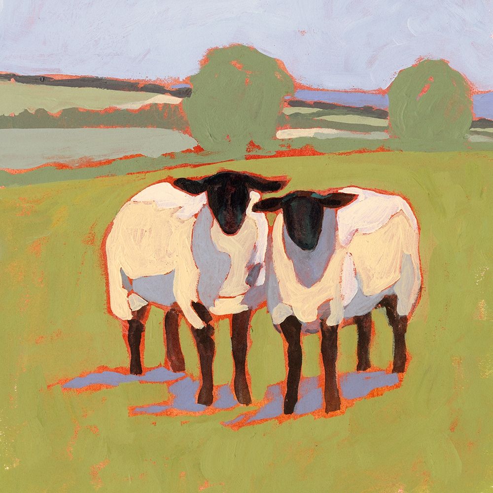 Suffolk Sheep III