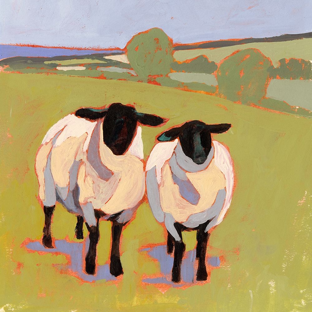 Suffolk Sheep IV