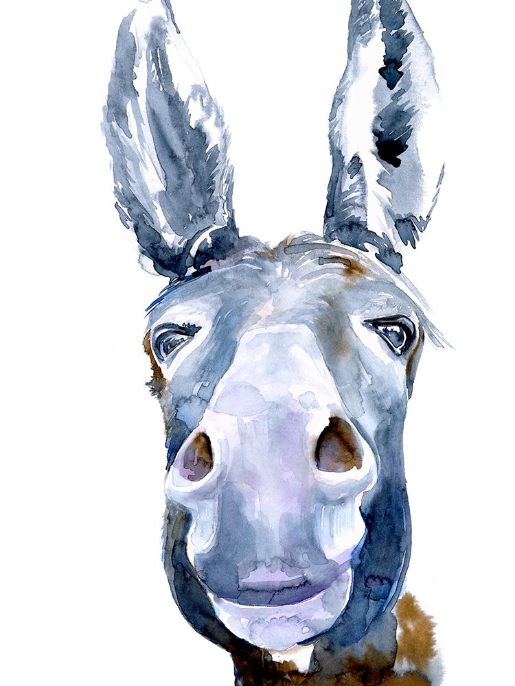 Sweet Donkey I