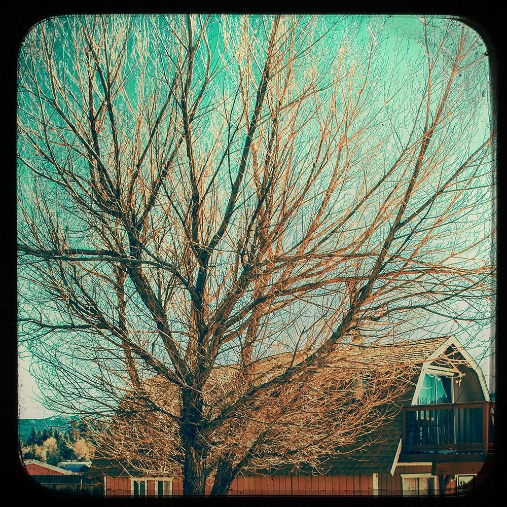 Frames of Travel III
