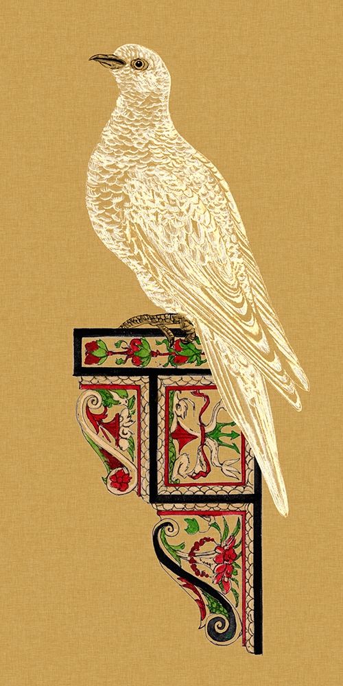 Bird Impression II