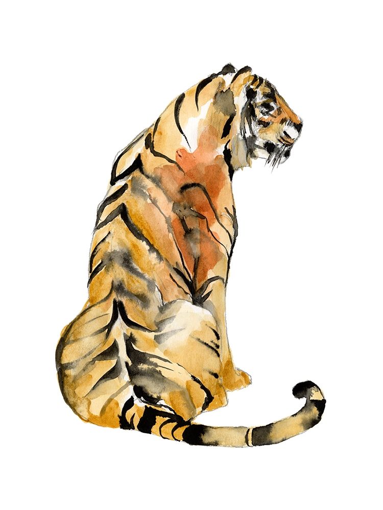 Sitting Tiger I