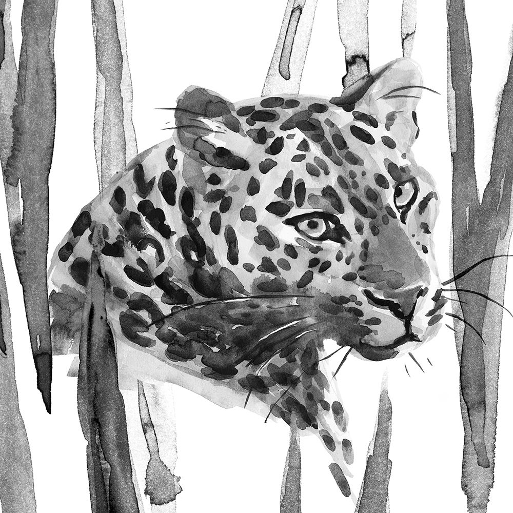Still Cat II