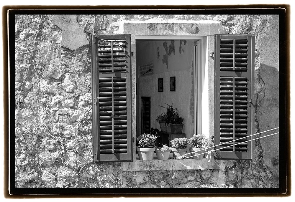 Window View