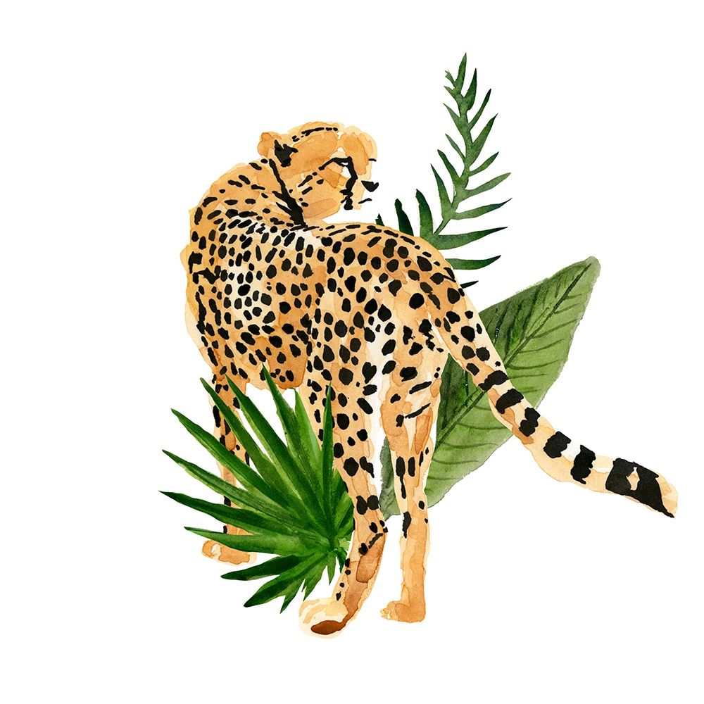 Cheetah Outlook III