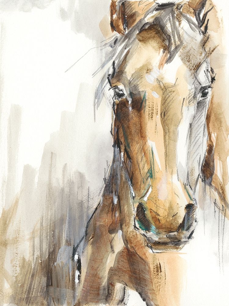 Gift Horse I