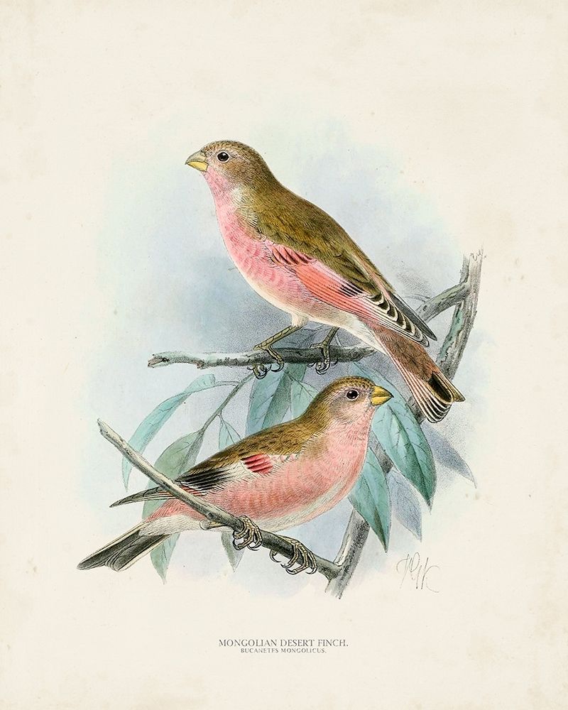 Antique Birds IV