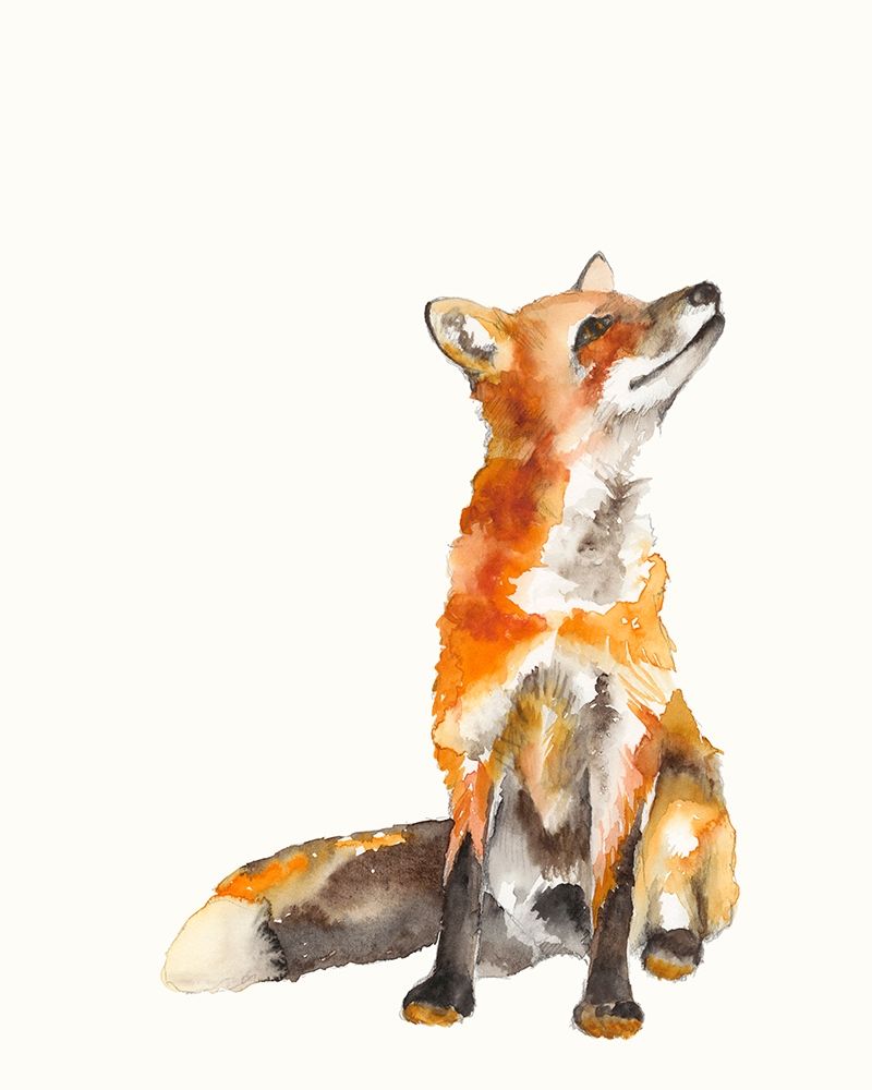 Sly Fox I