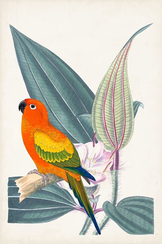 Tropical Bird and Flower IV